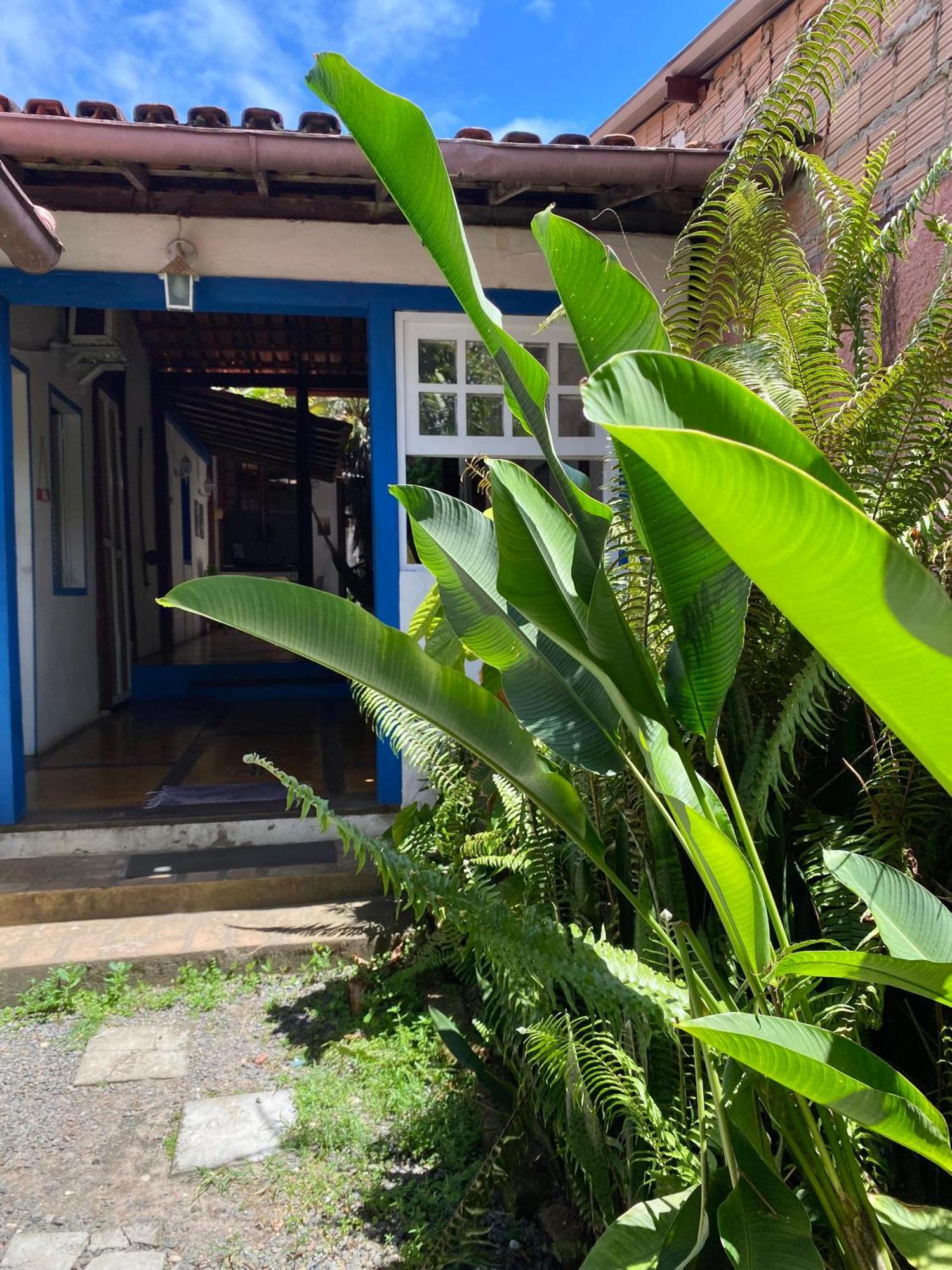 Tropicalia Hostel E Pousada Itacaré Екстериор снимка