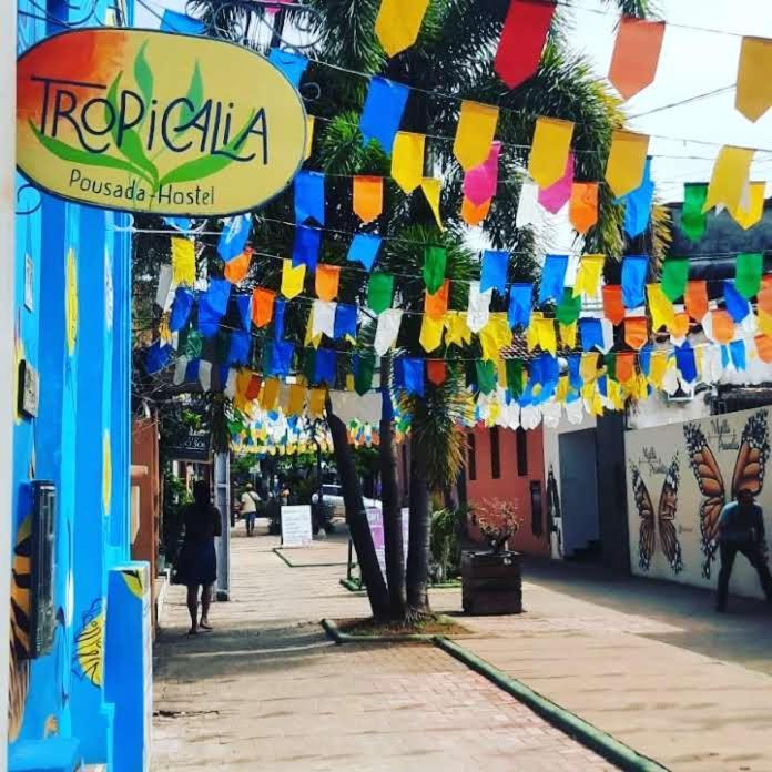 Tropicalia Hostel E Pousada Itacaré Екстериор снимка
